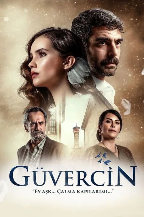 Güvercin (2019) Türk dizisi afişi
