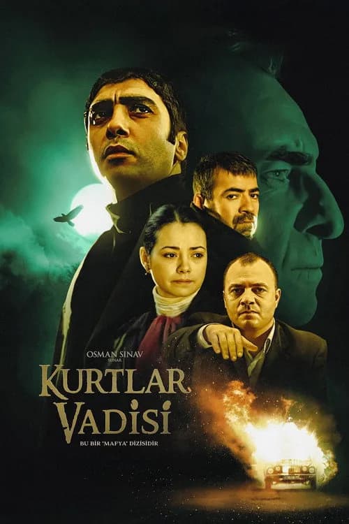 Kurtlar Vadisi (2003–2005) Türk dizisi afişi