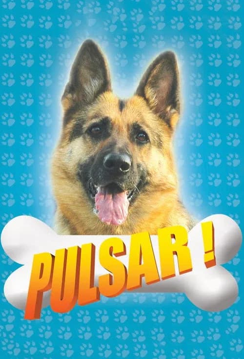 Pulsar (2008) Türk dizisi afişi