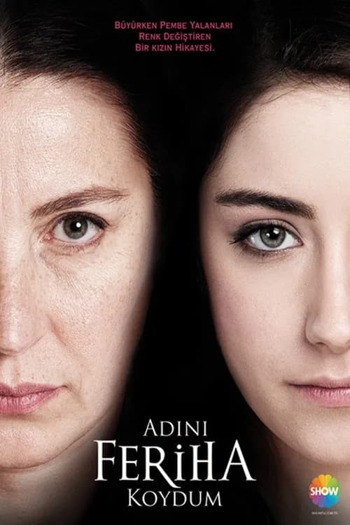 Adını Feriha Koydum (2011) Türk dizisi afişi
