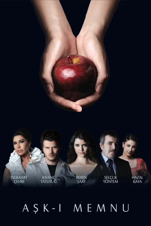 Aşk-ı Memnu (2008–2010) Türk dizisi afişi