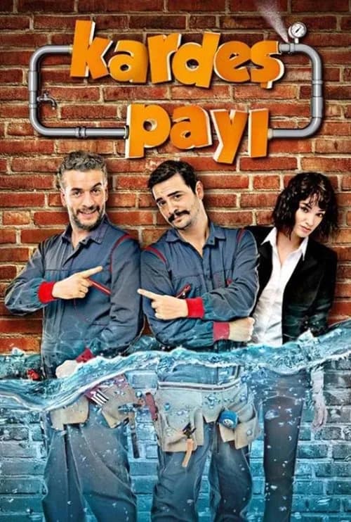Kardeş Payı (2014) Türk dizisi afişi