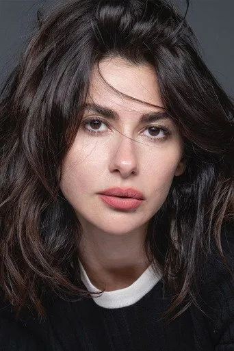 Nesrin Cavadzade, Daha 17 dizisinde Şebnem Akkaya rolünde